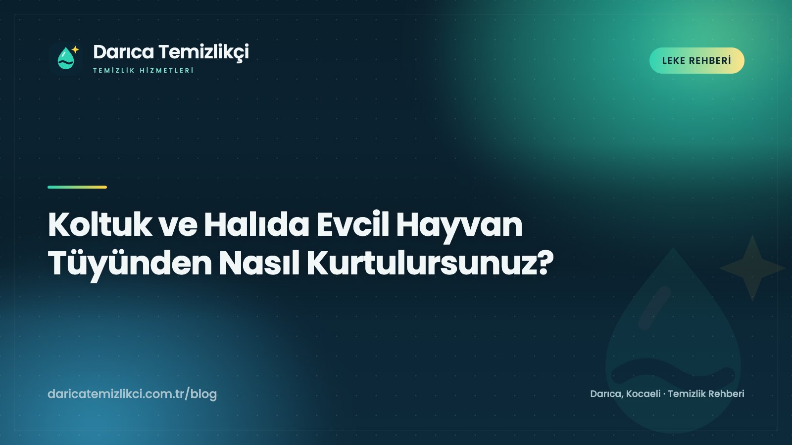 Evcil hayvan tüyü nasıl temizlenir: lastik eldivenle koltuktan kedi tüyü toplama